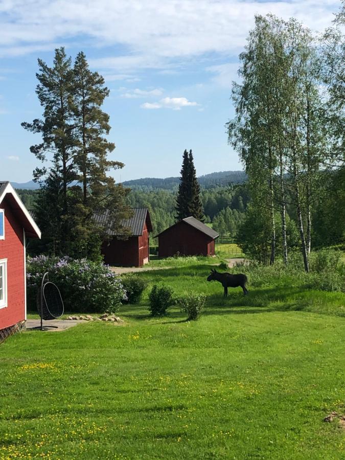 Mysig Timmerstuga Med Braskamin Naera Hovfjaellet Torsby Eksteriør billede